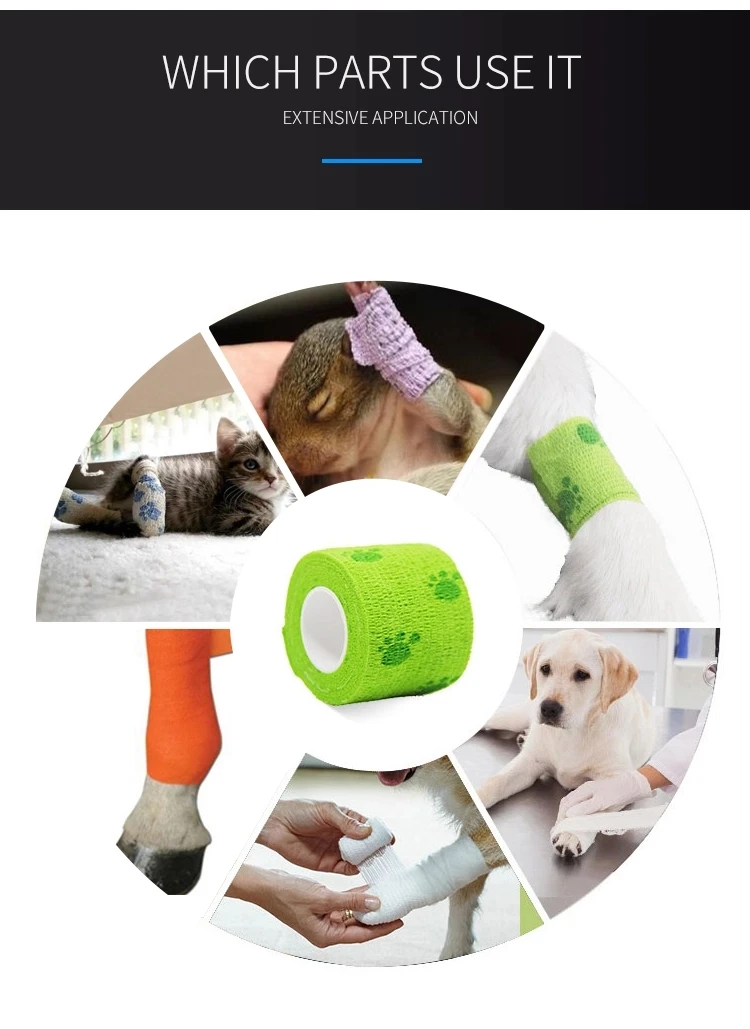 GSPMED High Quality cohesive elastic bandage Vet Wrap bandage self-adhesive Bandage Factory