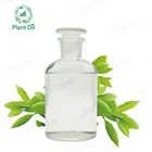 Concentrated Fragrance Leaf Oils, Hot Tea Tree Essential Oil