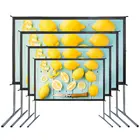 100 120 150 180 200 250 300 Inch ACME Fast Fold Projection Screen Easy Folding Projection Screen 4:3 Ratio