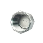 Stainless Steel End Cap High Quality Casting Class 150 SS304 SS316 Stainless Steel Hex End Cap Threaded Pipe Cap