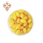GMP 500mg Honey Ginseng Royal Jelly Capsule