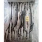 Fresh frozen seafood Frozen Malaysian mackerel