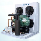R404a Bitzer compressor air cooled condensing unit for cold freezer room