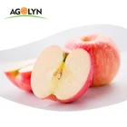 Bulk Apples Whole Sale Fresh Red Fuji Apples