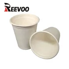Certificated sugarcane bagasse coffee cup