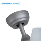 Fancy Decorative Customized Design Remote Control Wood Blade Ceiling Fan Light