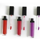 No Gloss TOP Sale Wholesale No Logo Waterproof Long Lasting 33colors Lip Gloss Custom Private Label Lipstick