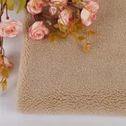 High quality 450gsm popular particle wool fleece fabric for coat