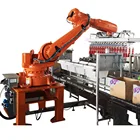 Robot Carton Packing Machine For Dog Food Bag Packing Into Cartons Customized products