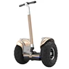 /product-detail/2400-watt-two-wheel-stand-up-high-standard-eswing-patented-electric-scooter-with-app-control-62236533993.html