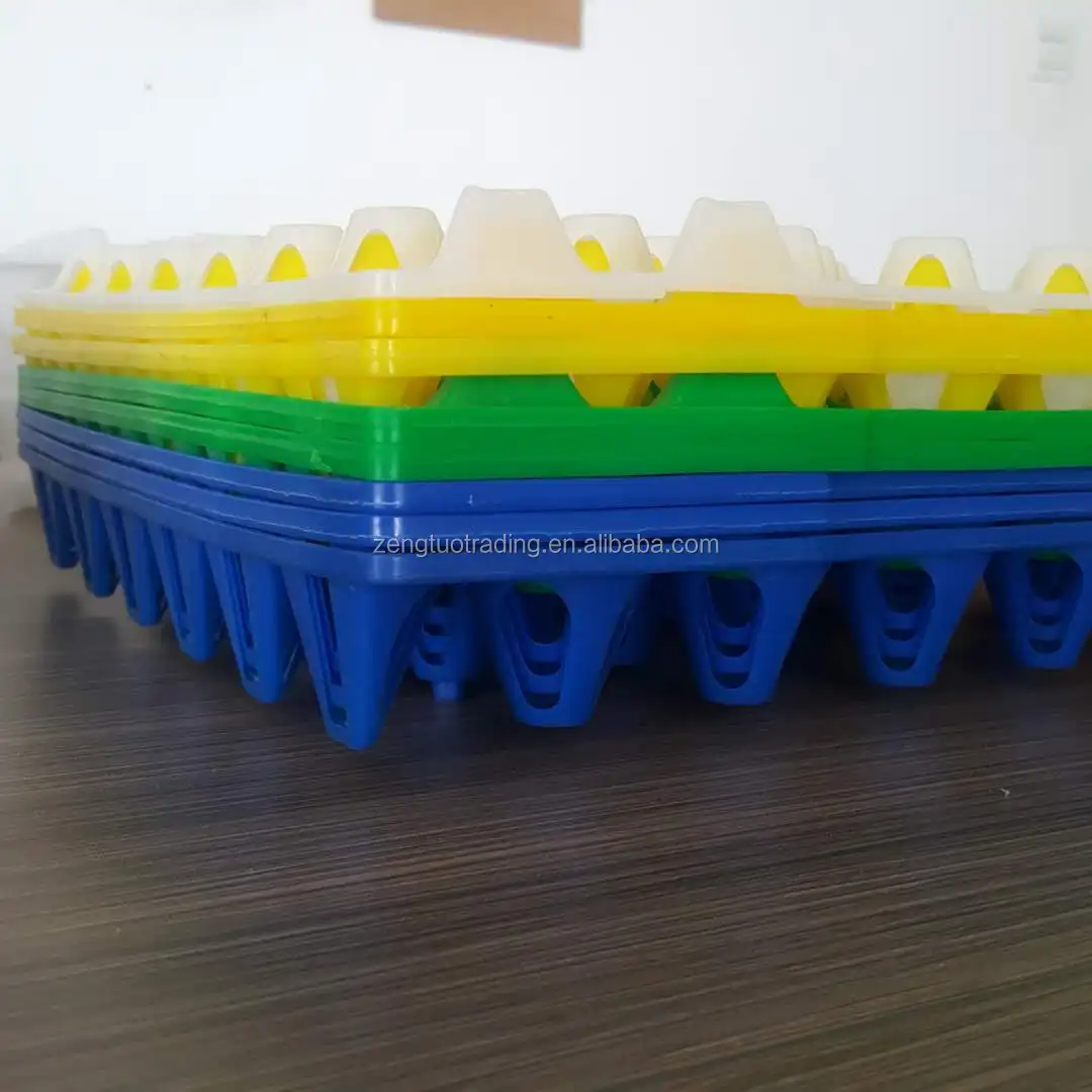 plastic egg tray (18).jpg