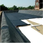Aquaculture Epdm Pond Liner Hdpe Pool Liner