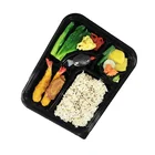 Lunch tray Outdoor use 5 Compartments Fast Food plastic Tray Serving 2017 new style lunch tray
