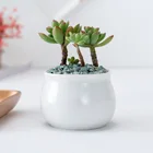 Mini Succulent Pot White Ceramic Round Pot Hot Sale White Ceramic Indoor Mini Round Succulent Flower Pot Wholesale