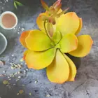 Plants Succulents Yellow Color Artificial Plants Wholesale Lotus Flower Succulents Plants For Indoor Decoration