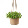/product-detail/small-hand-woven-home-decor-flower-planter-cotton-rope-jute-hanging-basket-62253465906.html