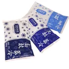 Frozen Reusable Nylon Frozen Gel Ice Packs 250G And 500G For Lunch Bags