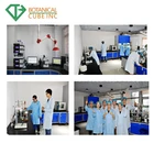 China Factory Supply Bulk Price of Cocoa Powder Cocoa Ingredients Alkalized Cocoa Powder