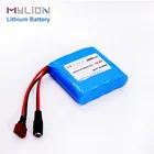 mylion small lithium ion battery,high capacity li-ion battery li ion pack portable battery