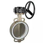 Valve Wafer Type Worm Gearbox Operated PN10/16 2-44 Inch Safety Grooved Stainless Steel Wafer Butterfly Valve