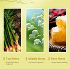 Hair Shampoo New Arrival Yellow Ginger Extract Hair Loss Prevention Shampoo