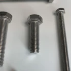China Manufacturer 304 Stainless Steel Nut Hex Head Bolt