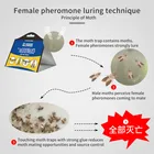 効果的なフェロモン紙デルタ付箋蛾トラップ昆虫接着剤蛾ためのパントリー & 布蛾フェロモンでコーティング