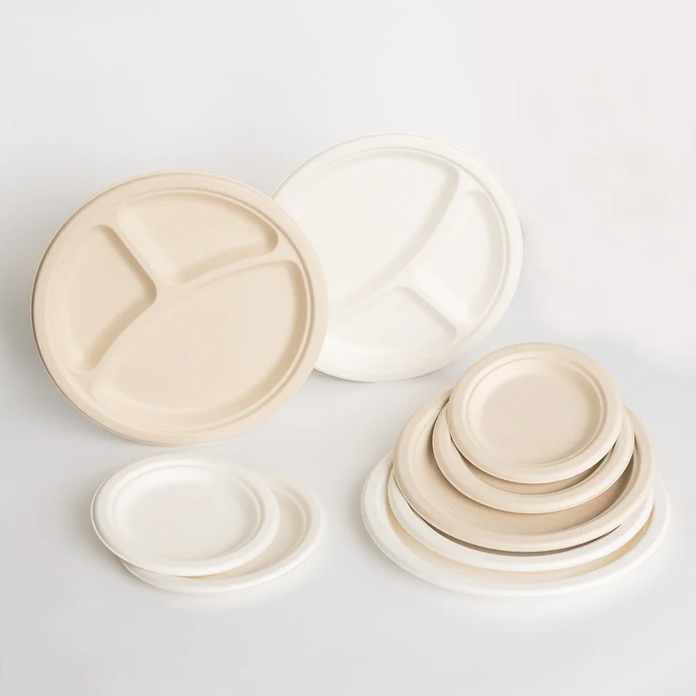 Eco Friendly Disposable Biodegradable Tableware Set Compostable Bagasse