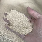 Machine Dry Granulator Machine GK Dry Powder Pellet Granulator Machine Granule Making Machine
