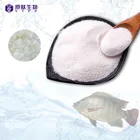 Chinese manufacturer hot sale pack high quality soluble vegan fish collagen peptides hydrolyzed 100% pure