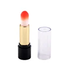 Private Label Best Nylon Mini Retractable Lip Brush with Cap
