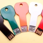 Individual Packaging Custom USB Key Thumb Drive with Logo 8GB 16GB 32GB 64GB