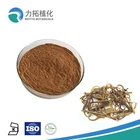Manufacture factory 100% Natural uncaria gambir extract powder