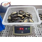 New products on market high quality frozen mussels meat with half shell