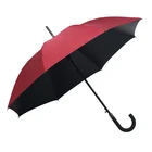 Cost low purchase price new large target market umbrella