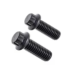 SS 304 316 M8 M16 Grade 8.8 Black oxide 12 point flange bolt