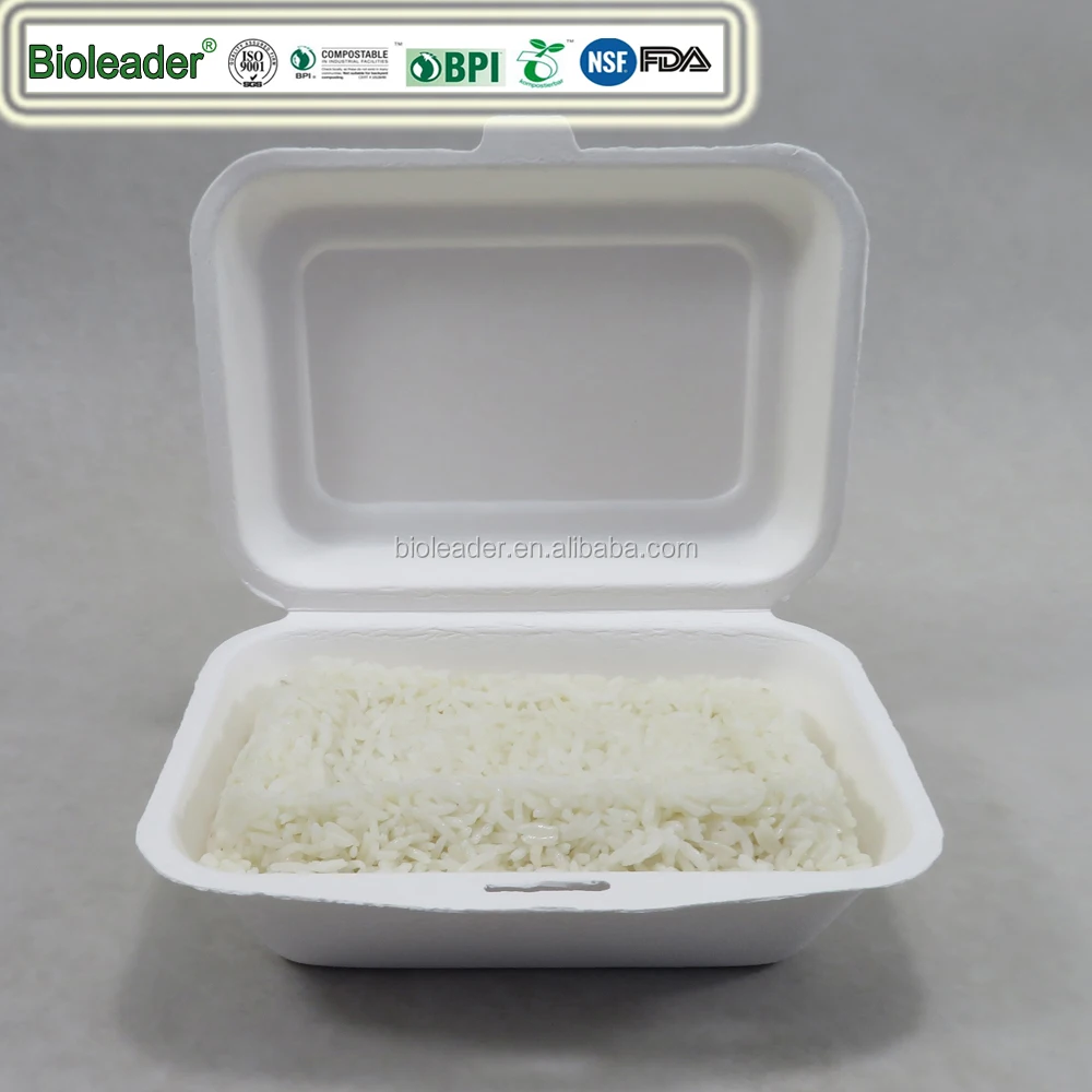 USA Europe Certificated Biodegradable Sugarcane Bagasse 9 inch 3 Compartment Box