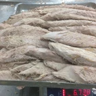 Frozen skipjack tuna loin with high quality to EU market