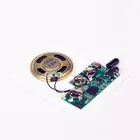 USB programmable musical chips for greeting card