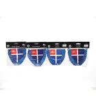 Club Sports Pennant , Team Soccer Pennant , Custom Football Pennant