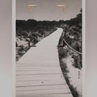 professional Custom Print Post Card Or Thank You Cards Or Greeting Cards
