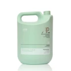 Professional and Private Label Wholesale Gallon Bulk AP Nourishing 4500mL Hair Shampoo