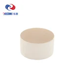 Bus diesel engine catalytic soot particulate filter converter