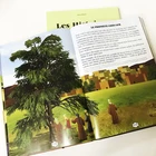 OEM custom cheap self-publish hardcover coloring comic story book children book publishers in china
