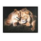Modern wall art canvas painting wall art animal lion canvas framed picture