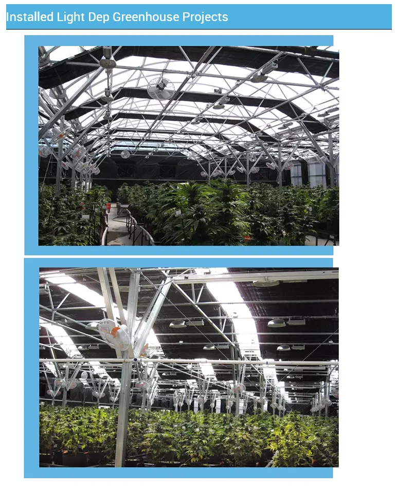 Huifa Blackout Greenhouse Automatic Four Season Light Dep Greenhouse For Sale Greenhouse Polycarbonate Agricultural