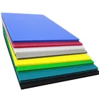ホット販売 Pp 波形プラスチック Cartonplast Danpla 将来フルー Correx Coroplast ボードロール製品