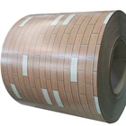 Printing Cold Rolled PPGL/PPGI Galvanized Steel Sheet Steel Roofing Plate