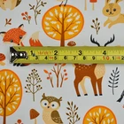Cotton Knit 95/5 Custom Digital Printing Lycra Cotton Jersey Knit Fabric CT125