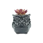 animal oil shape small mini ceramic succulent plant planter pot